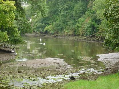 Port Navas, Porth Navas, Portnavas Creek Helford River from Trenarth Bridge (c) 2008 Martin Imber