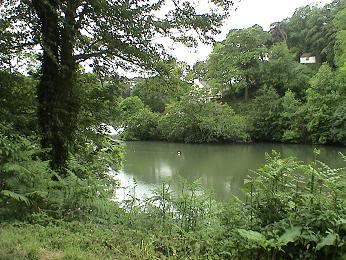 Port Navas, Porth Navas, Portnavas Creek Helford River from junction with Mawnan Smith road (c) 2008 Martin Imber