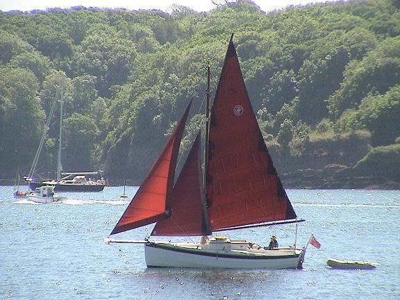 Trebah Beach / Polgwidden Cove